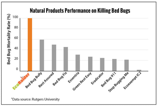 Dealing with Bed Bug Problems at Schools and Universities