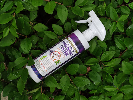 Help Mother-Nature go Green for Spring!