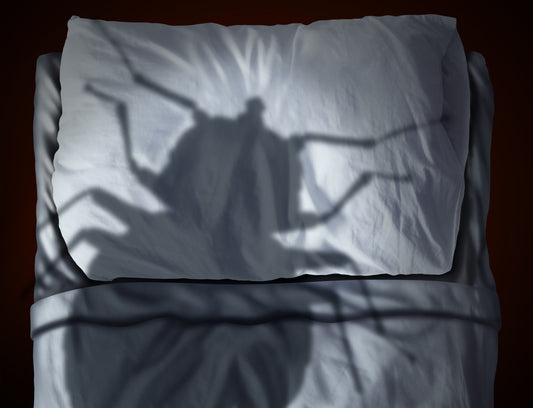 Insecticide Resistance in Bed Bugs
