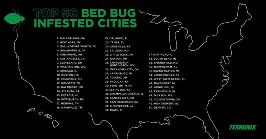 The New Year, the Bugs, the Cities, & the Solution