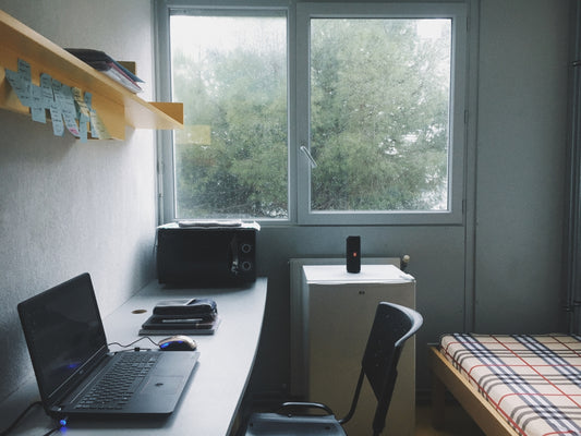 Dorm Room Survival: Avoiding Bed Bugs at All Costs