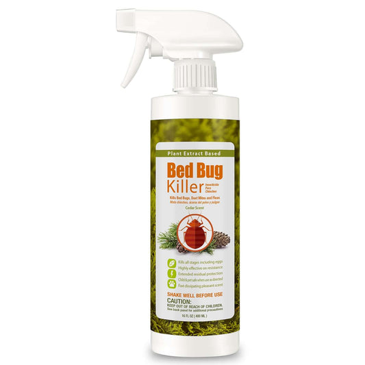 Bed Bug Killer