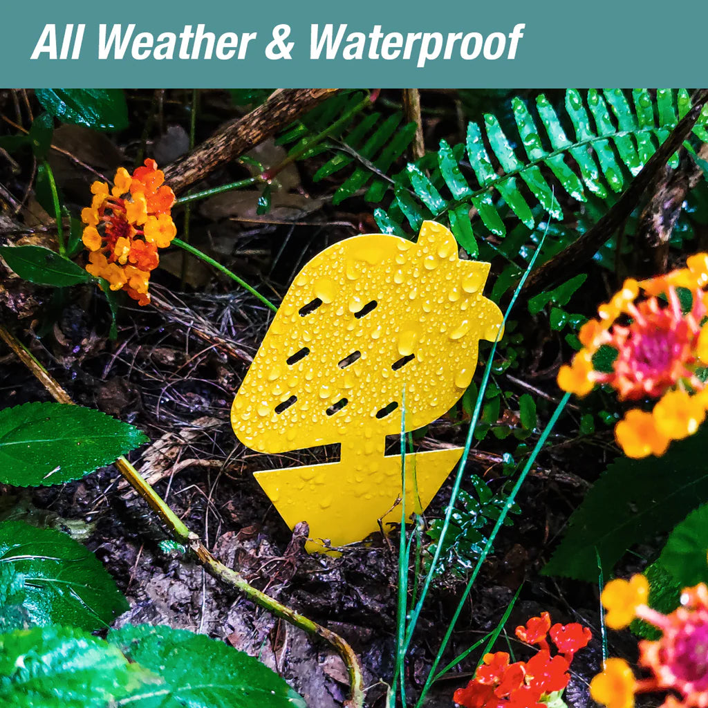 ZingZap Sticky Insect Traps with Novelty Emoji 24-Pack