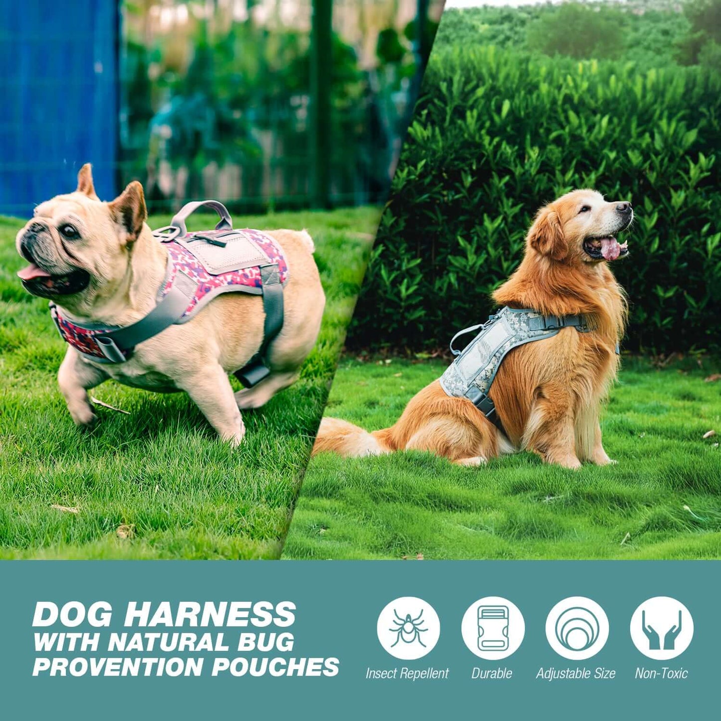 Dog Harness