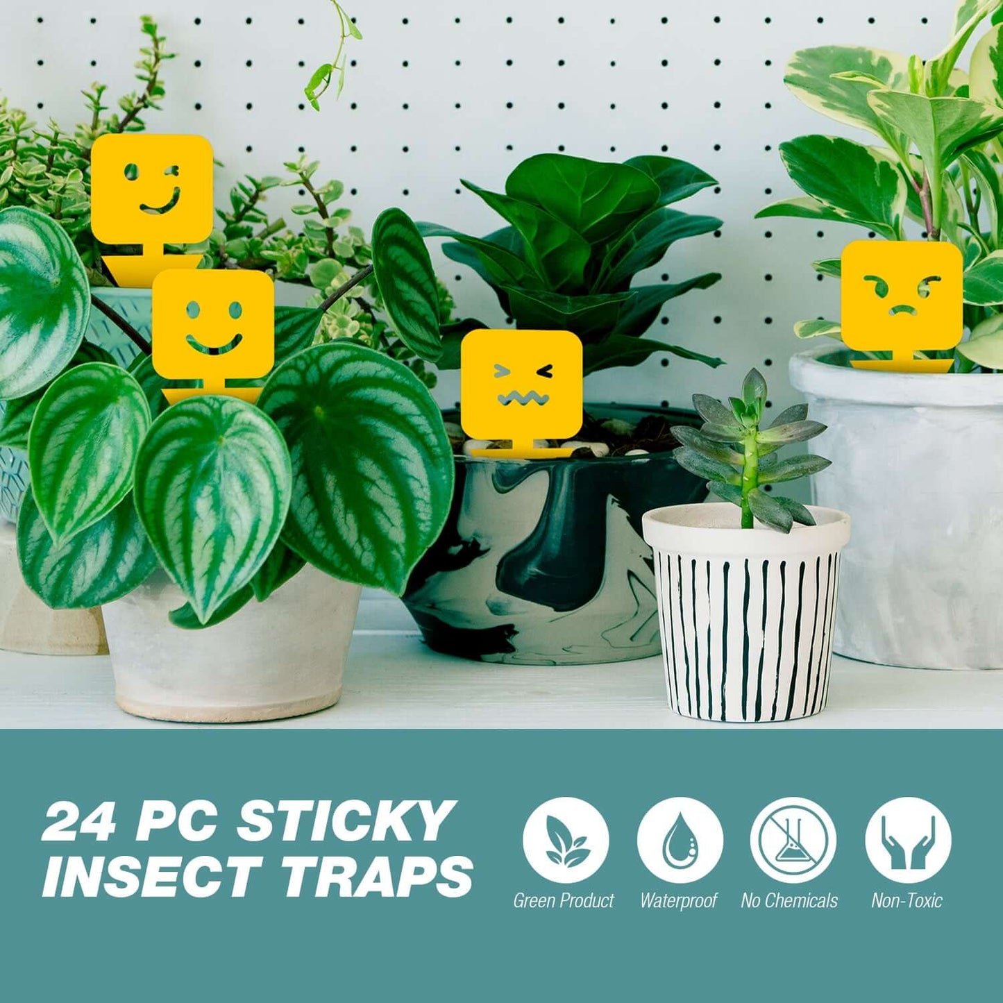 Insect Traps