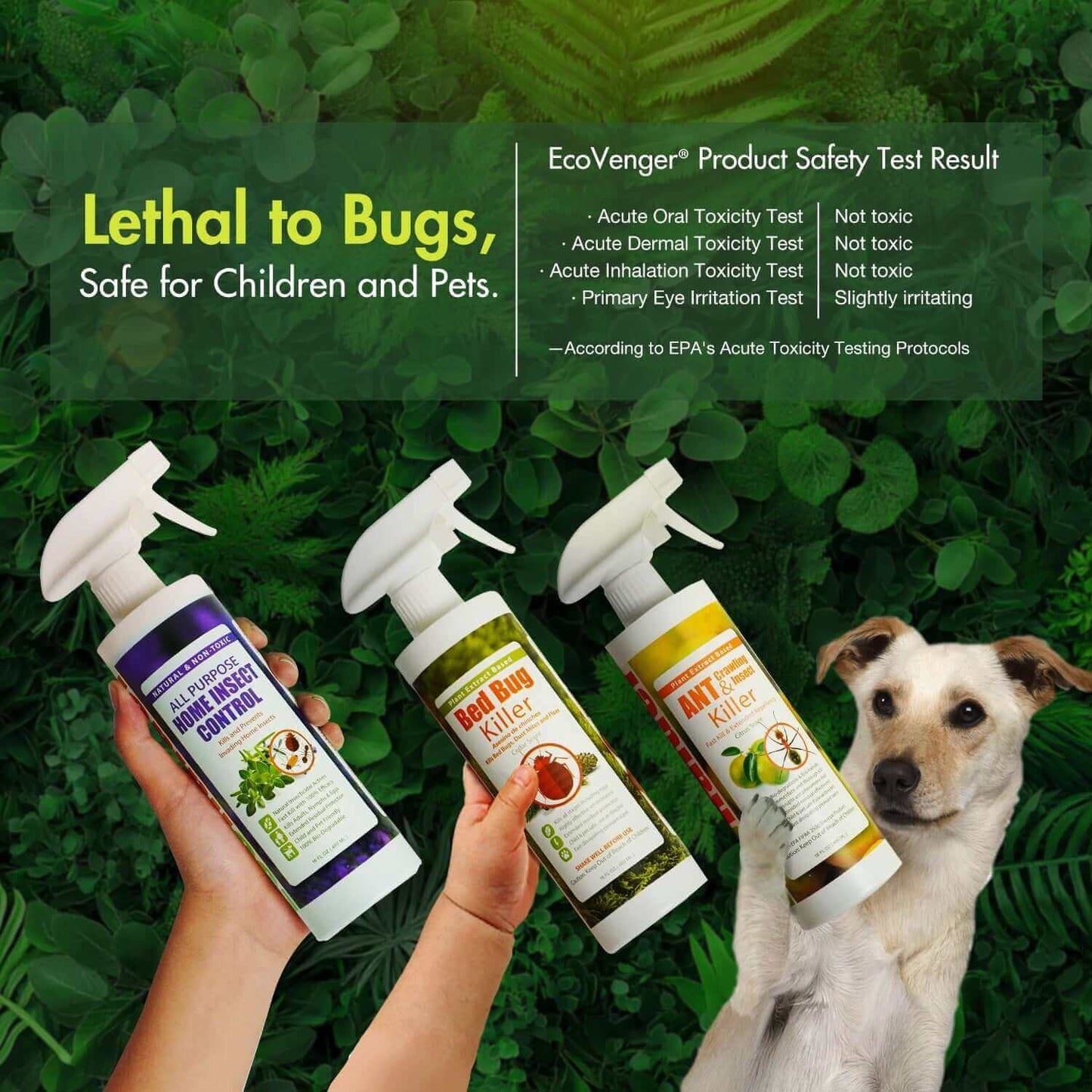 EcoVenger Bed Bug Killer 1 Gal & Monitors & Interceptors 24 Packs