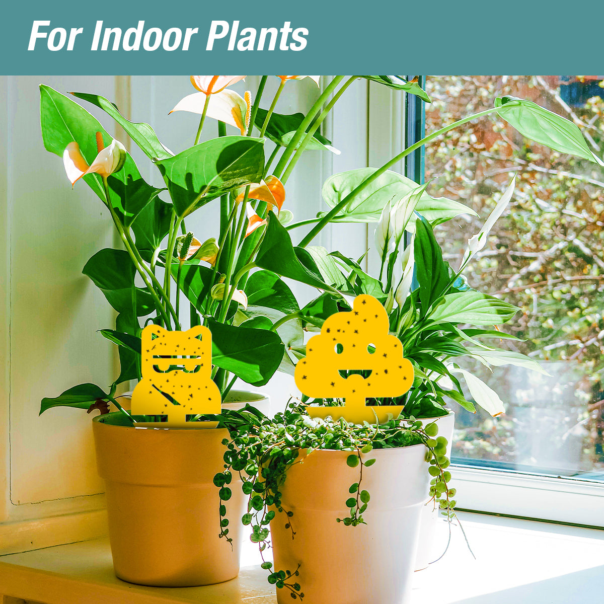 ZingZap Sticky Insect Traps with Novelty Emoji 24-Pack