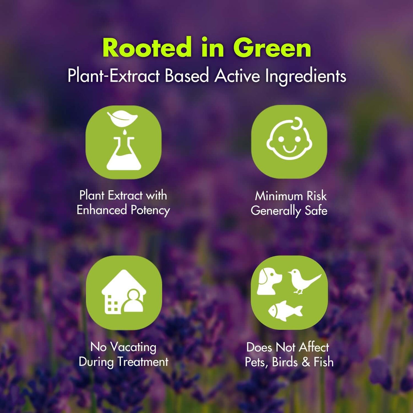 Rooted in Green