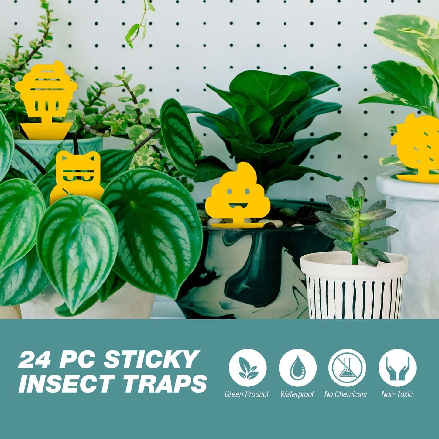 INSECT TRAPS