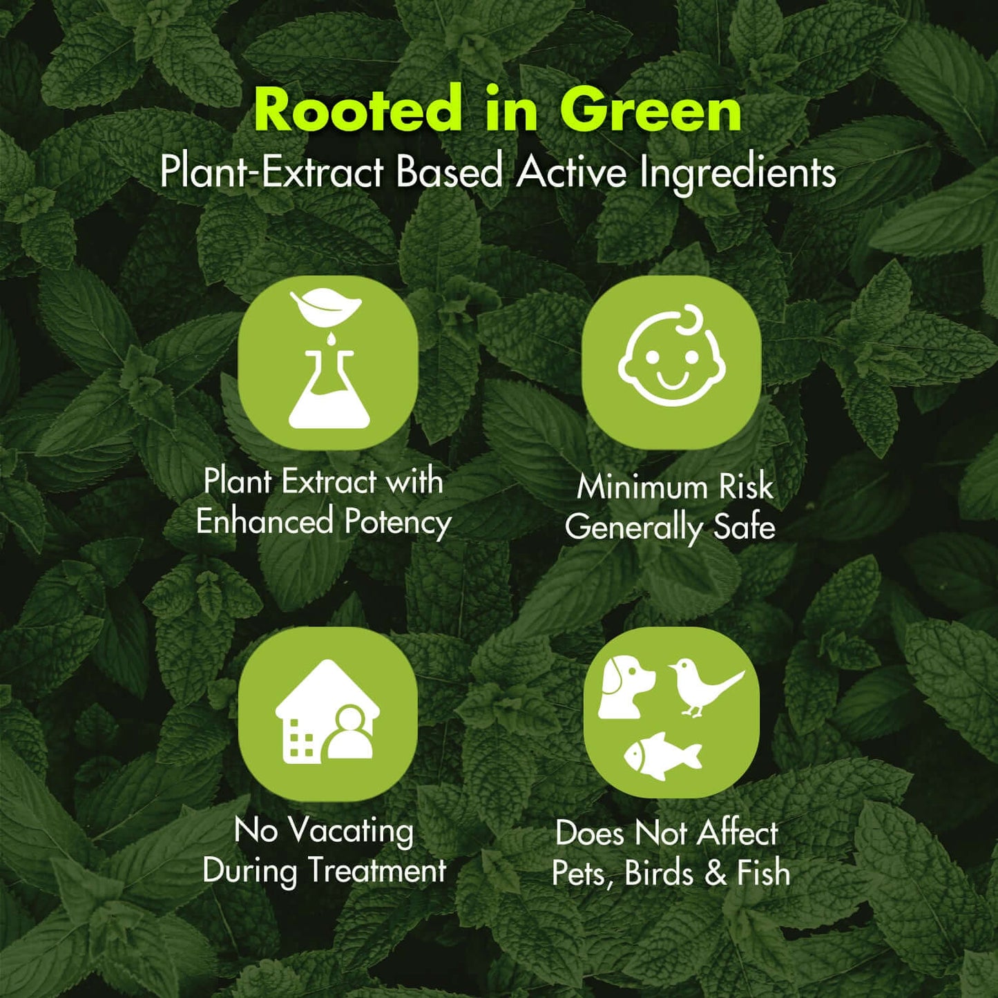 Promotional graphic for plant-extract