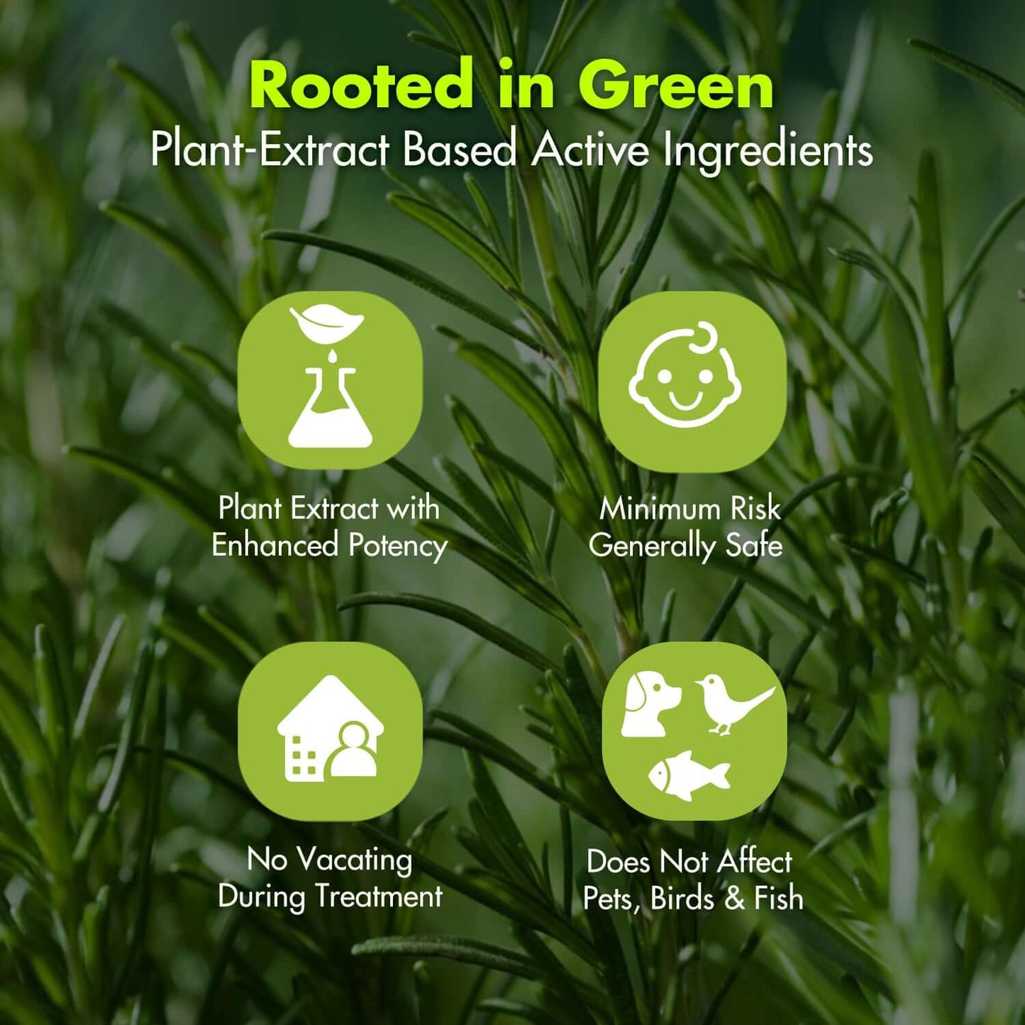 Promotional graphic for plant-extract