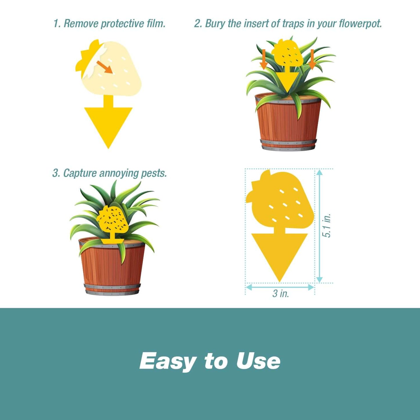 INSECT TRAPS
