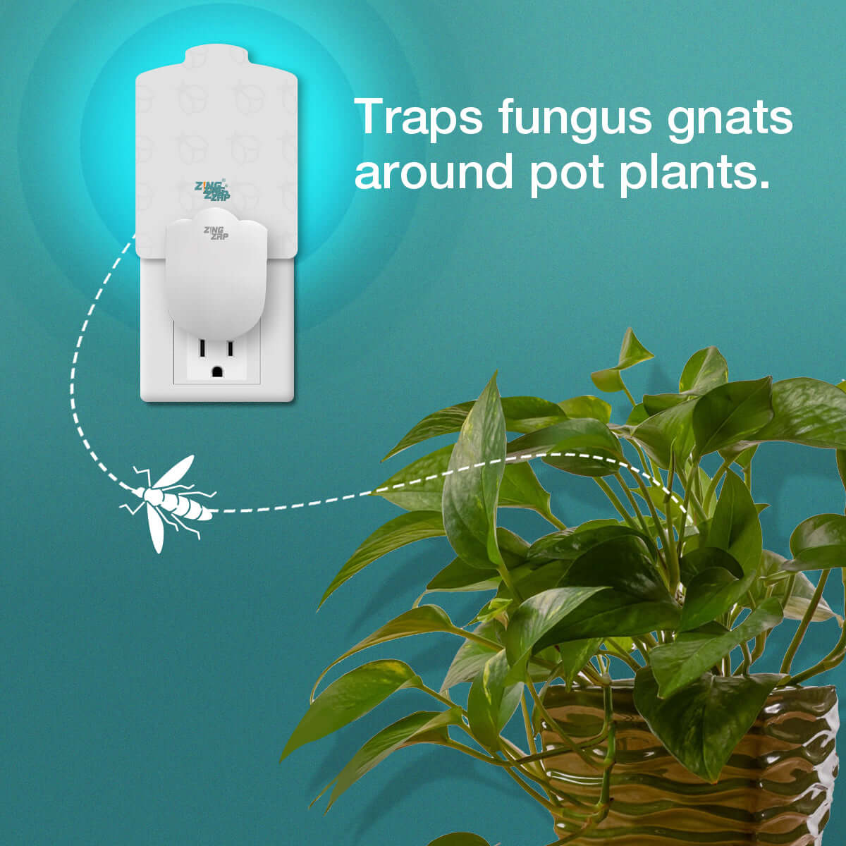 ZingZap Flying Insect Trap Plug-in Station and 5 Trap-Boards
