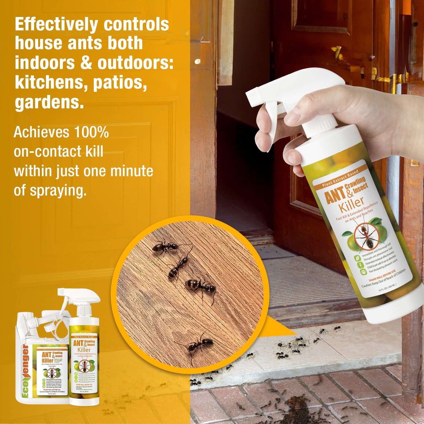 Ant Killer