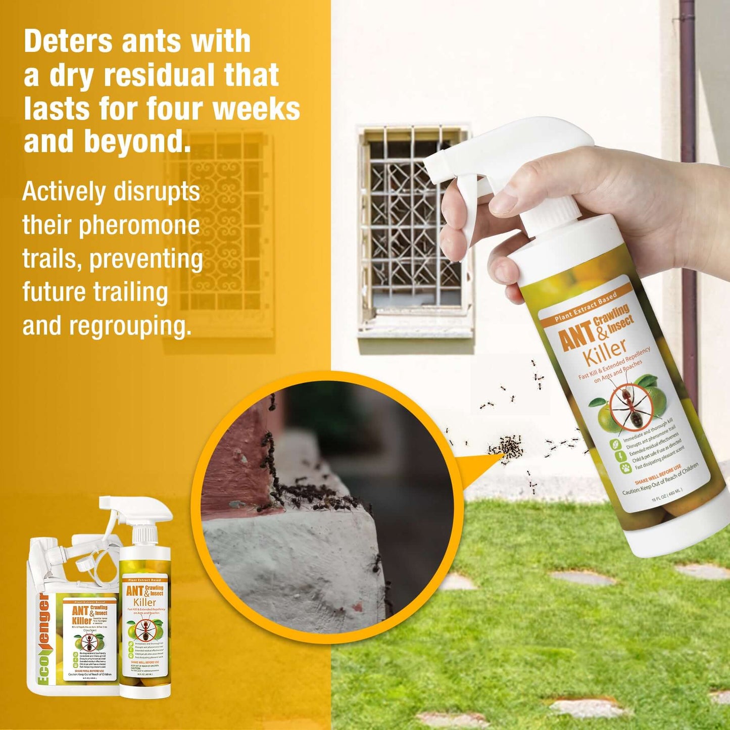 Ant Killer