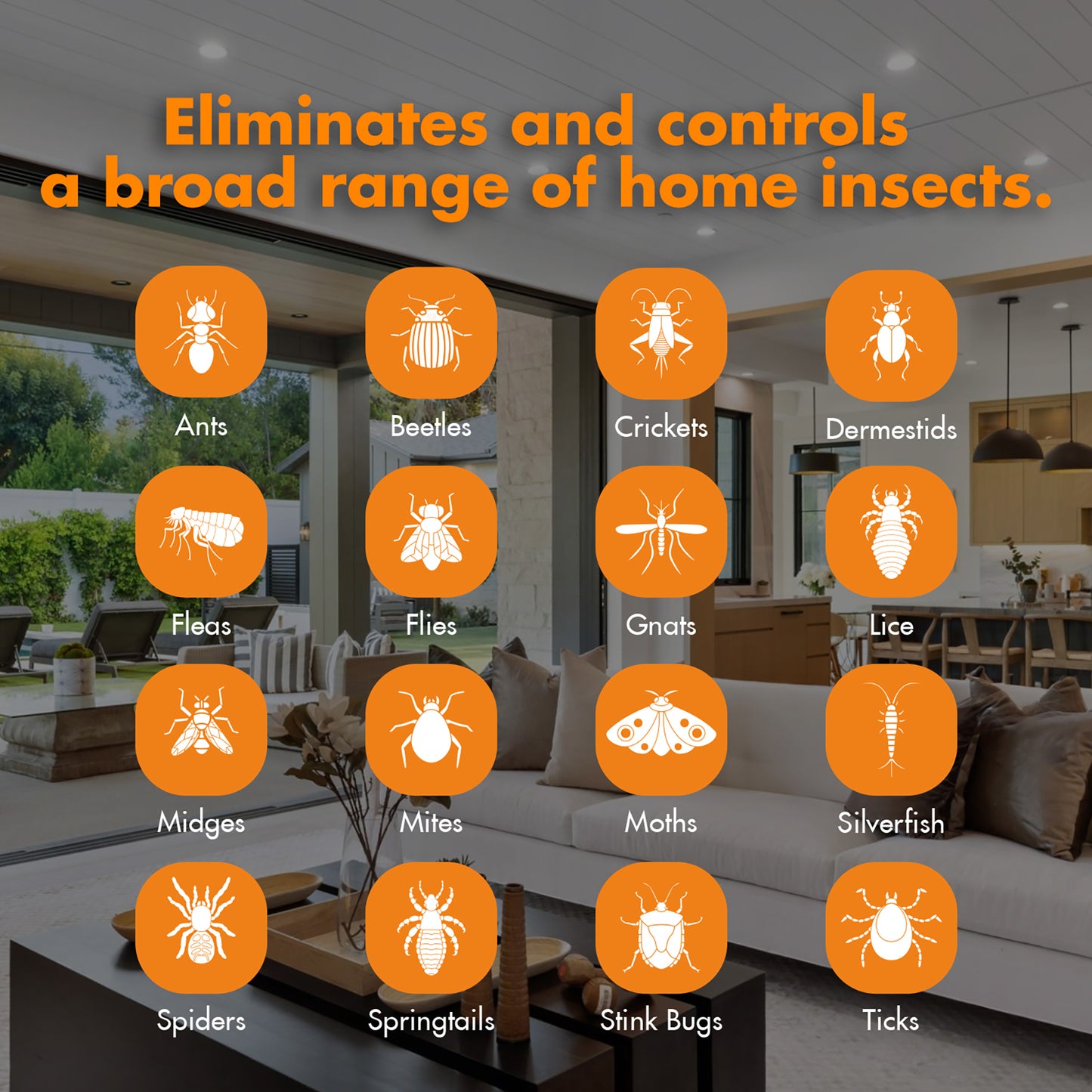 Home Insect Control All Purpose Remote Spray 64 oz