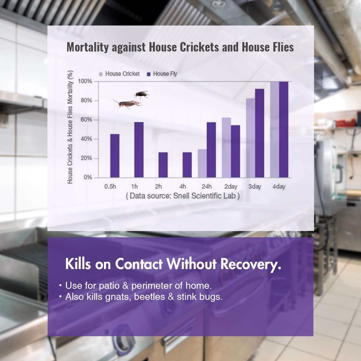 Mortality Against Yellow Jackets