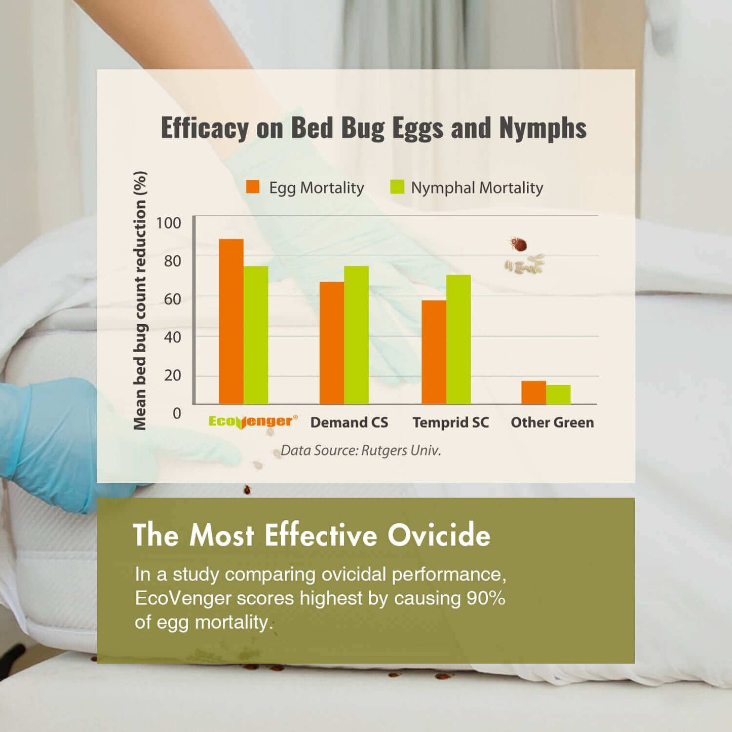 bed bug mortality rates over 14 days