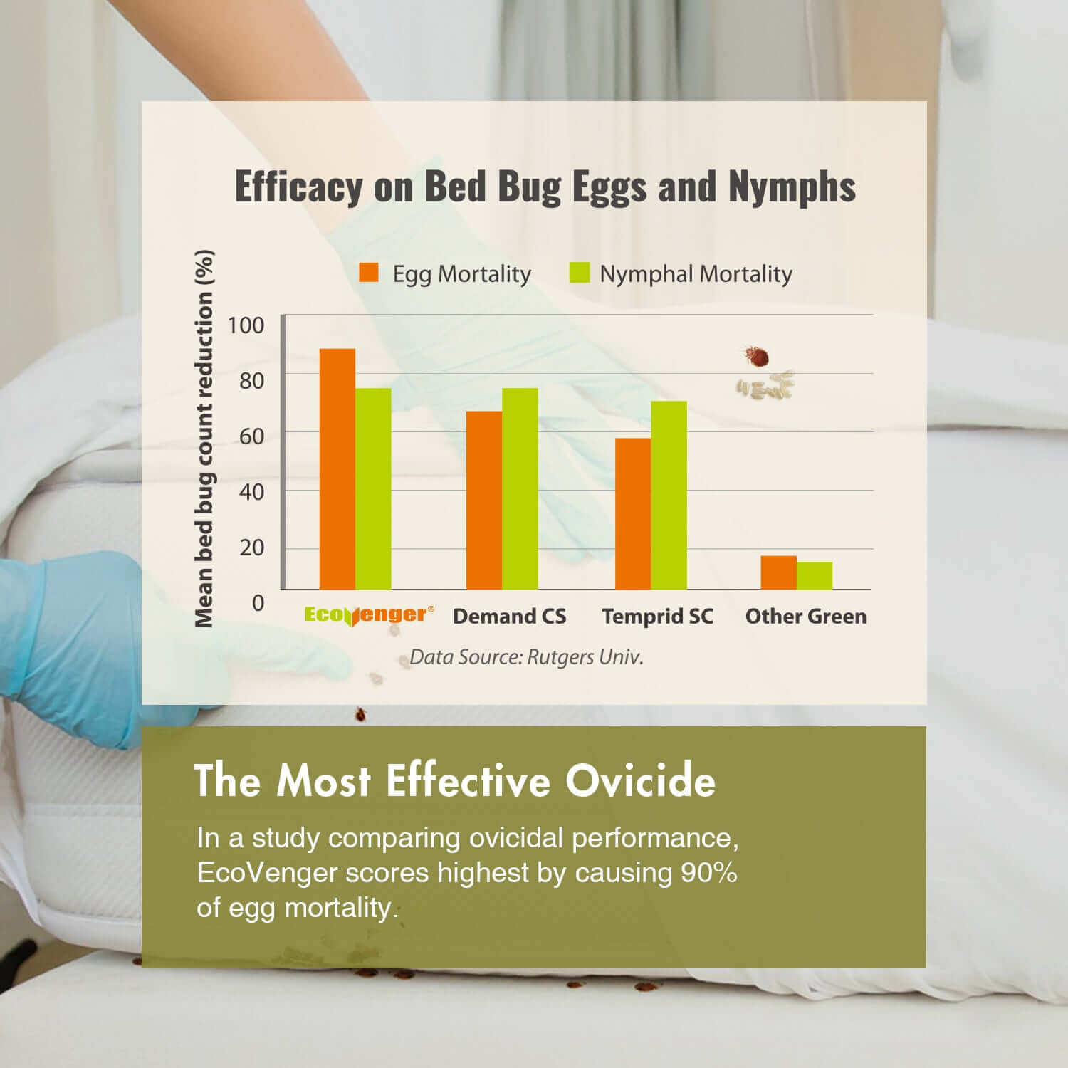 bed bug mortality rates over 14 days