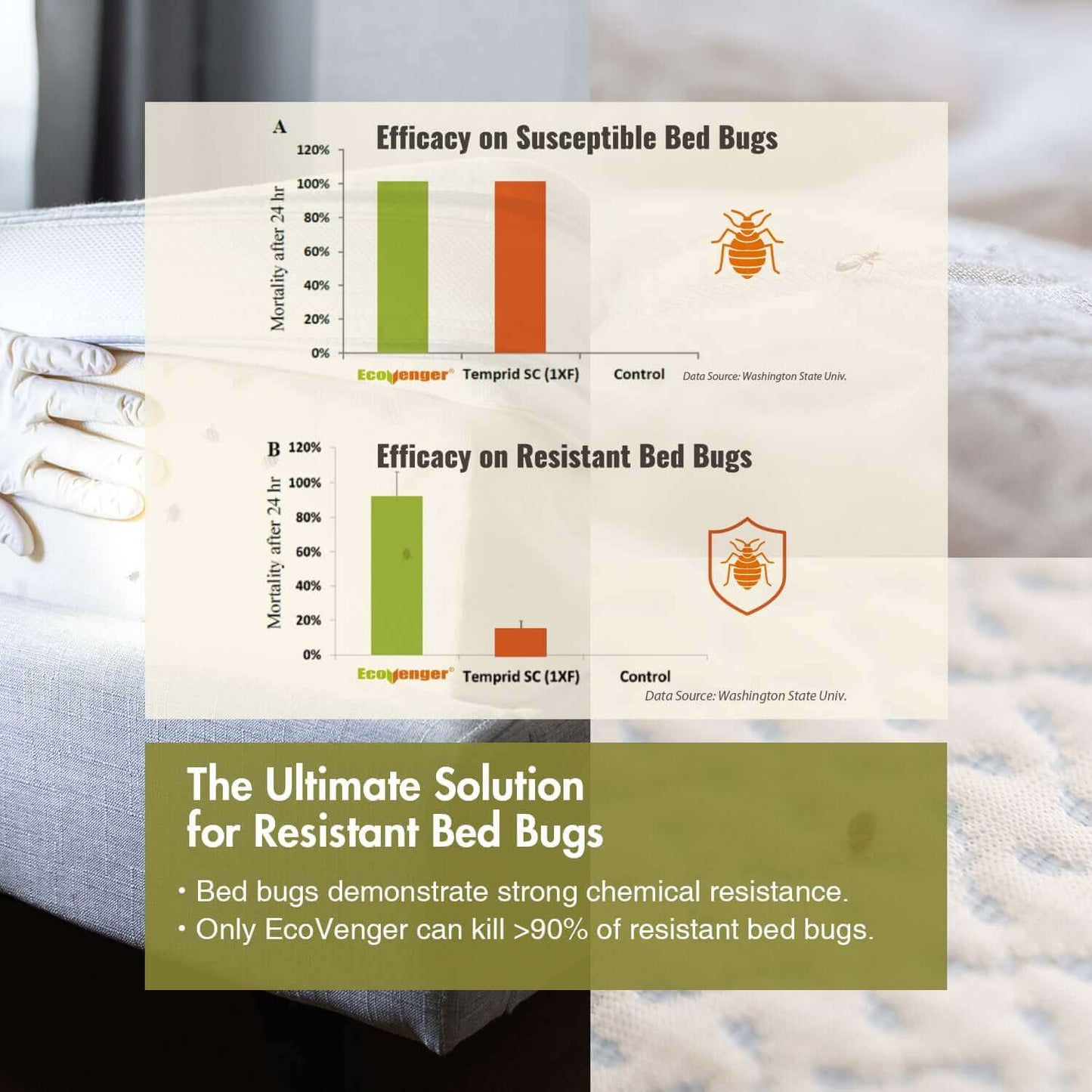 showing bed bug mortality rates