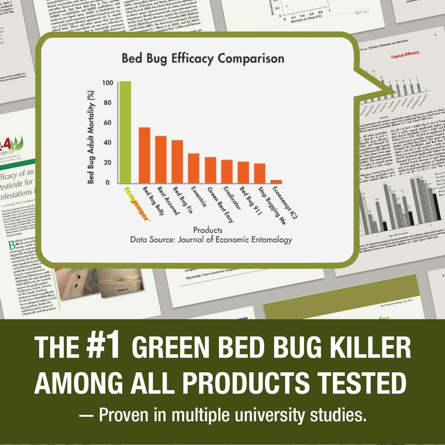 Chart Comparing Bed Bug