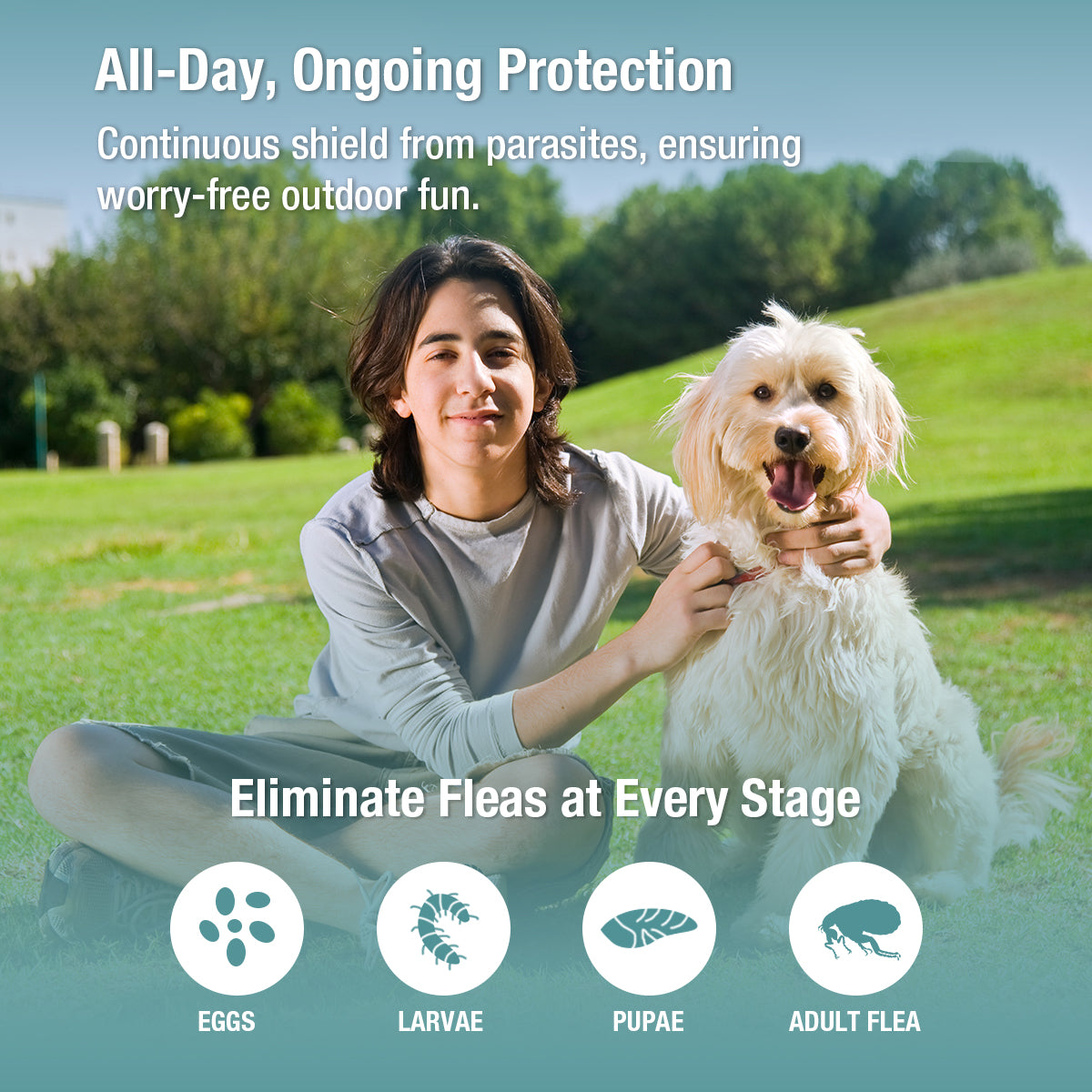 ZingZap Flea & Tick Collar 2-Pack Plant-Based for Dogs & Cats