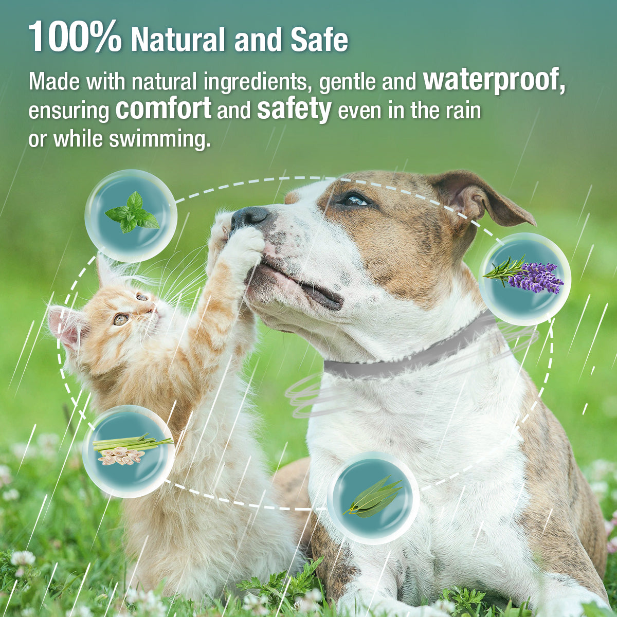ZingZap Flea & Tick Collar 2-Pack Plant-Based for Dogs & Cats