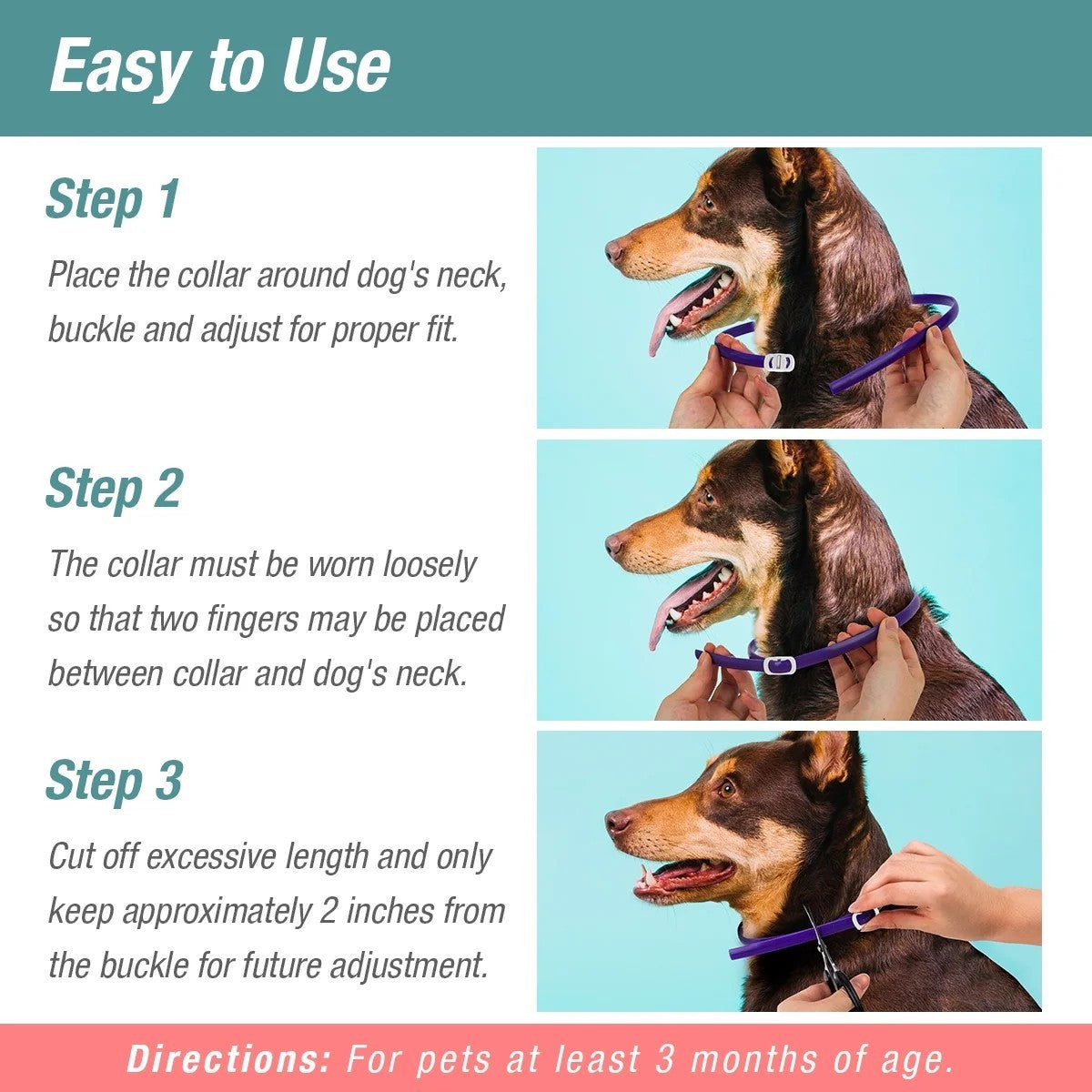 ZingZap Flea & Tick Collar 2-Pack Plant-Based for Dogs & Cats