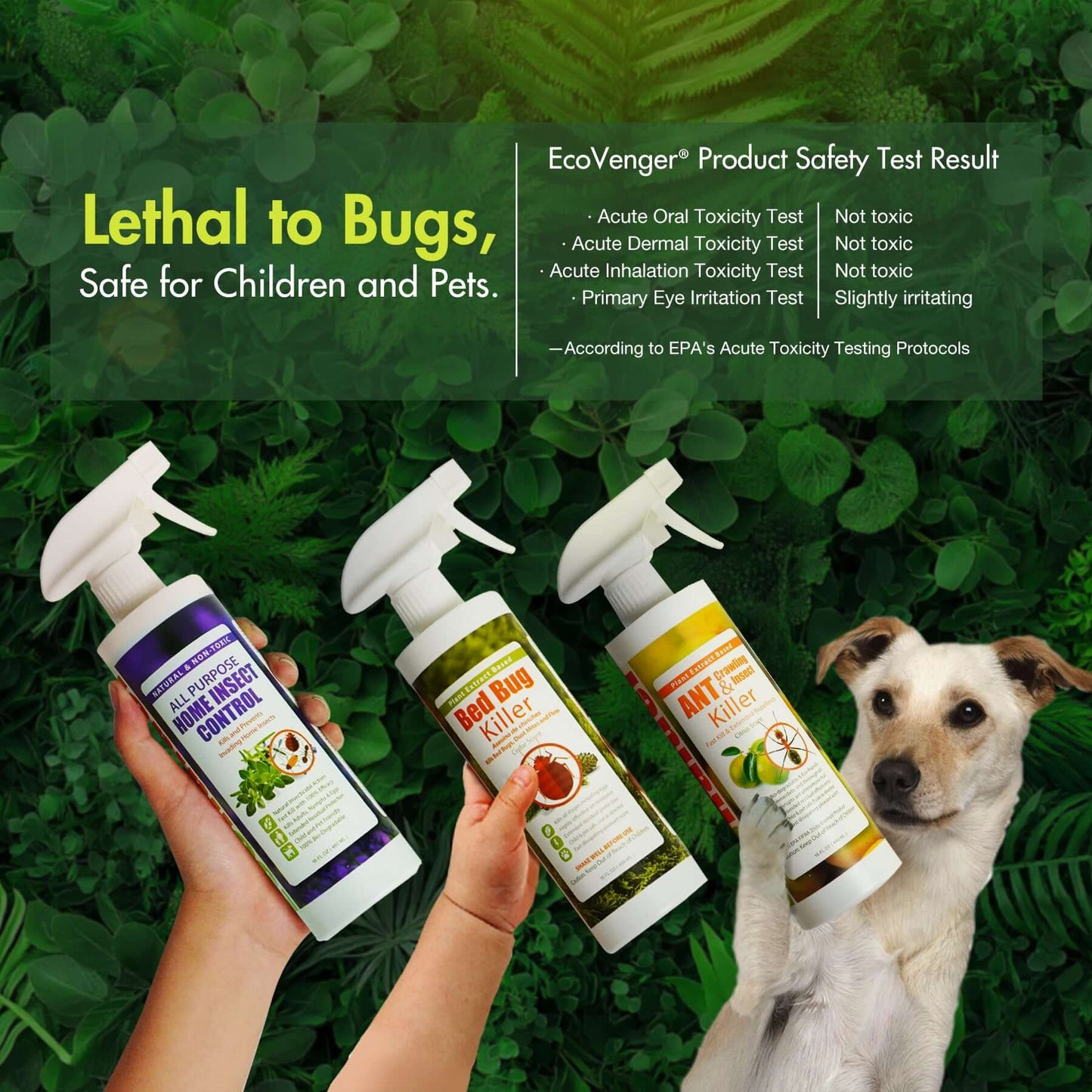 EcoVenger insect killer sprays