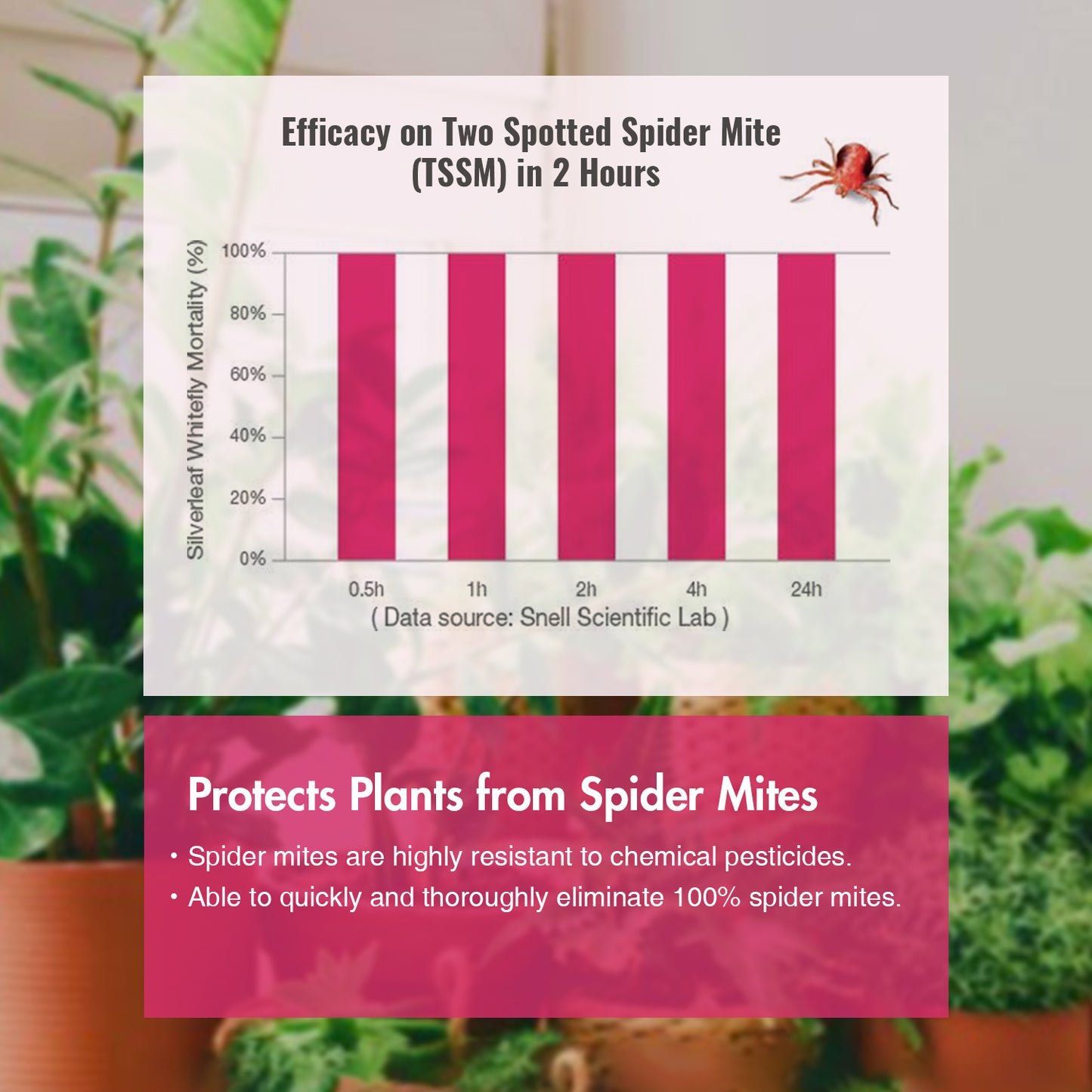 Garden Insect Control Spray 16 oz
