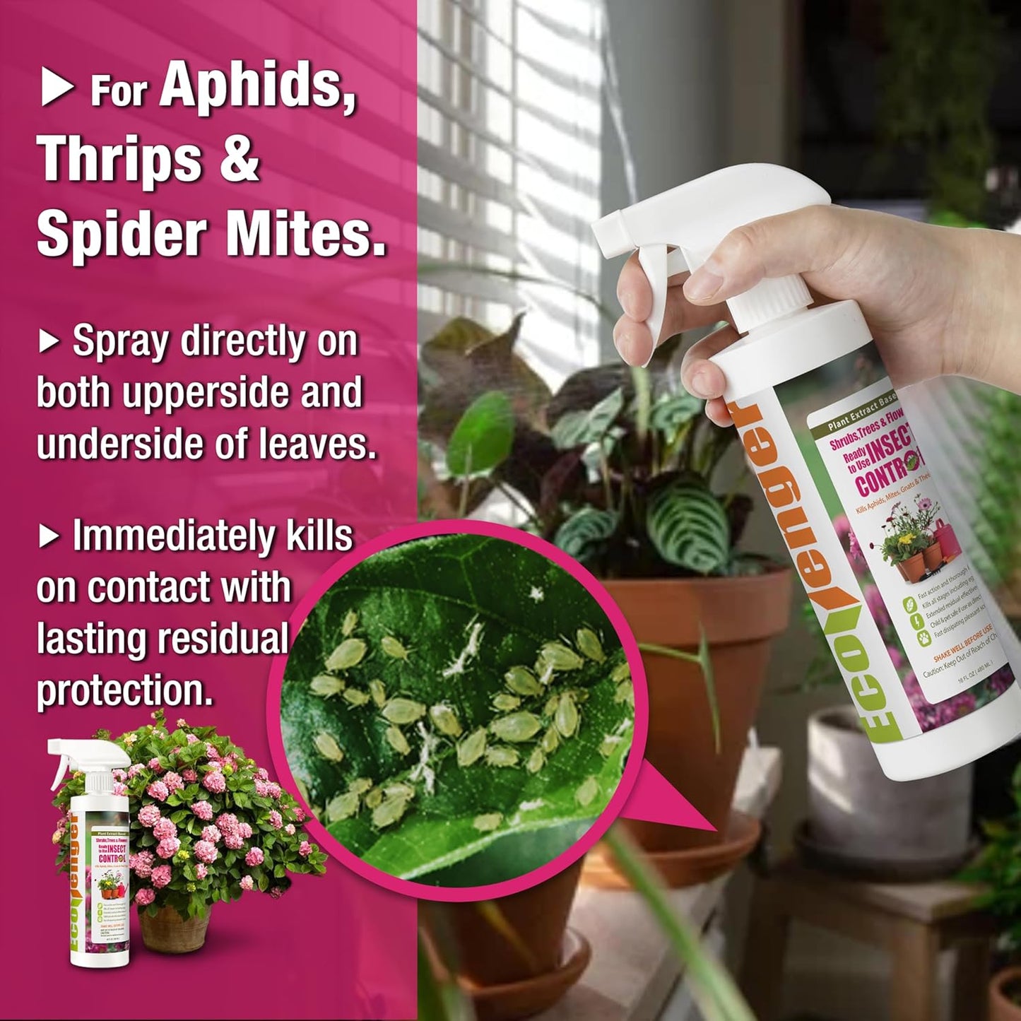 Garden Insect Control Spray 16 oz