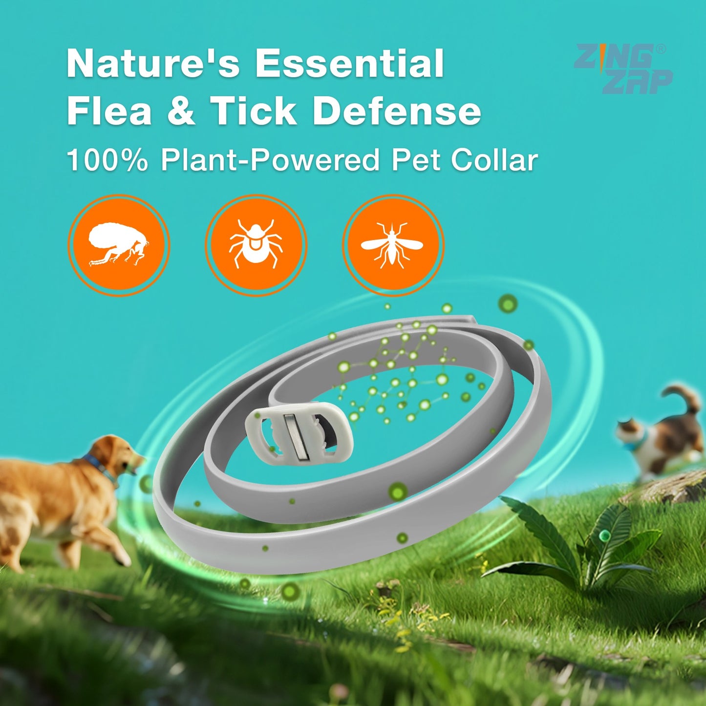 ZingZap Flea & Tick Collar 2-Pack Plant-Based for Dogs & Cats