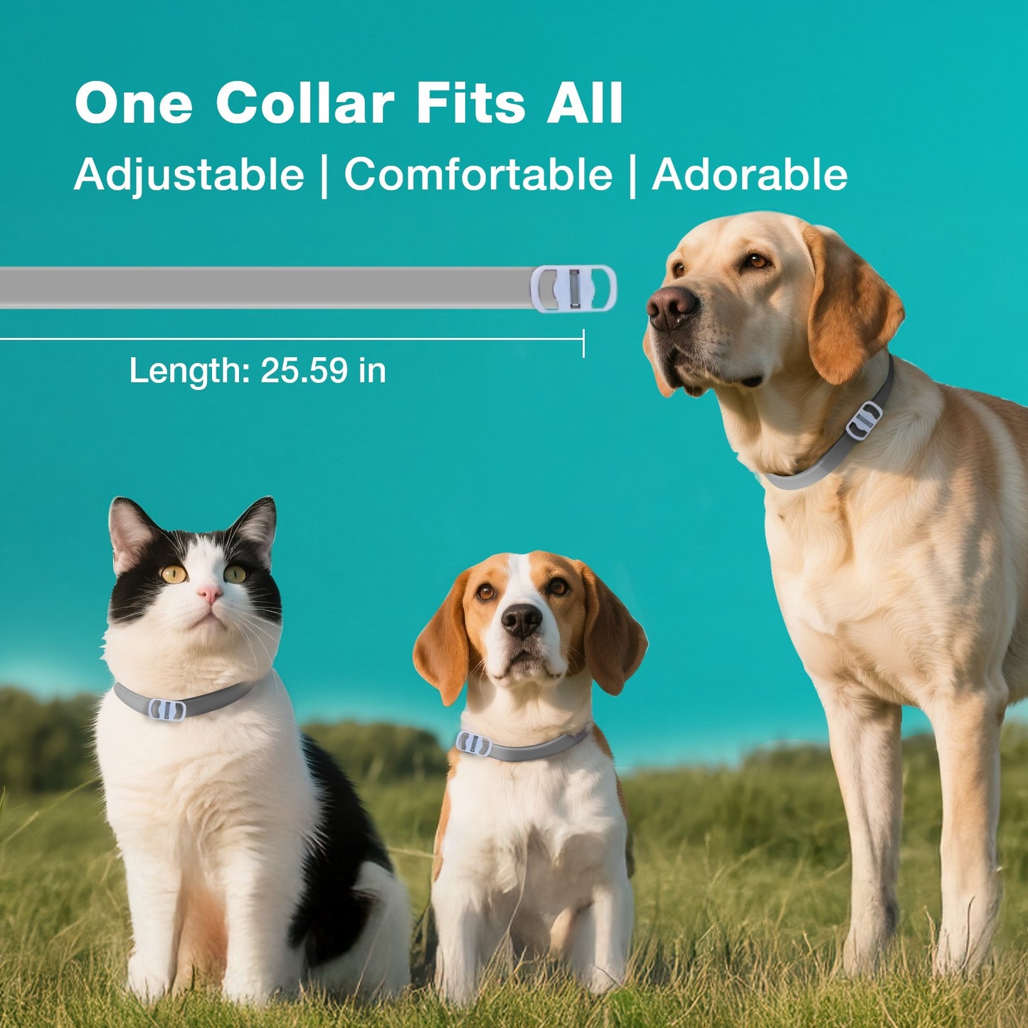ZingZap Flea & Tick Collar 2-Pack Plant-Based for Dogs & Cats
