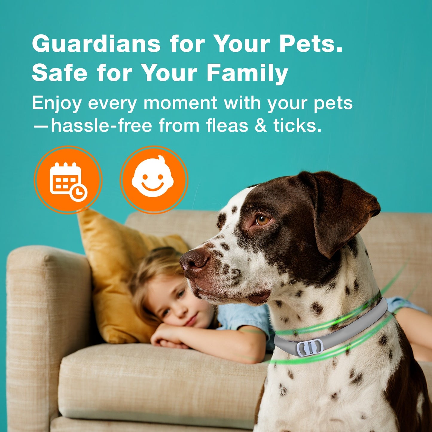 ZingZap Flea & Tick Collar 2-Pack Plant-Based for Dogs & Cats