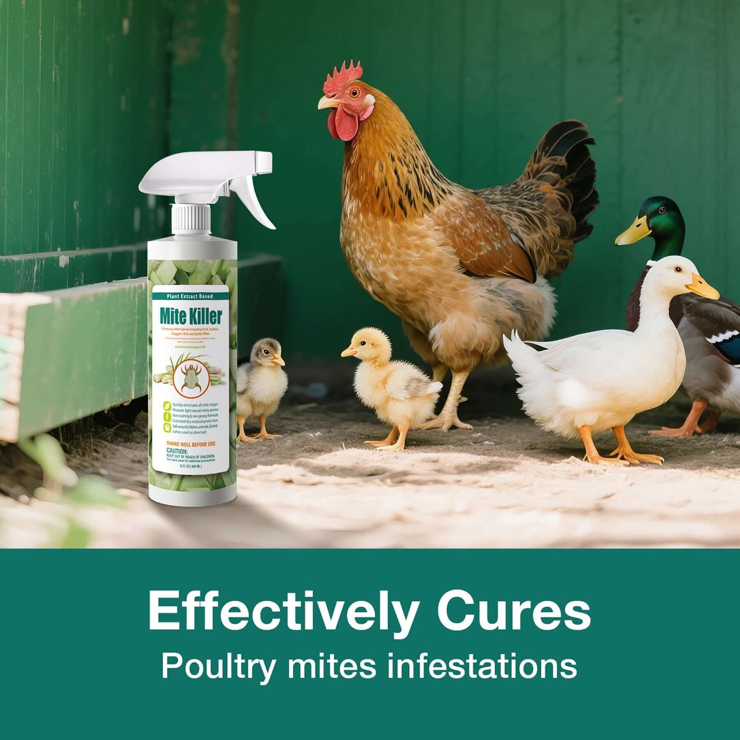 Mite Killer Spray