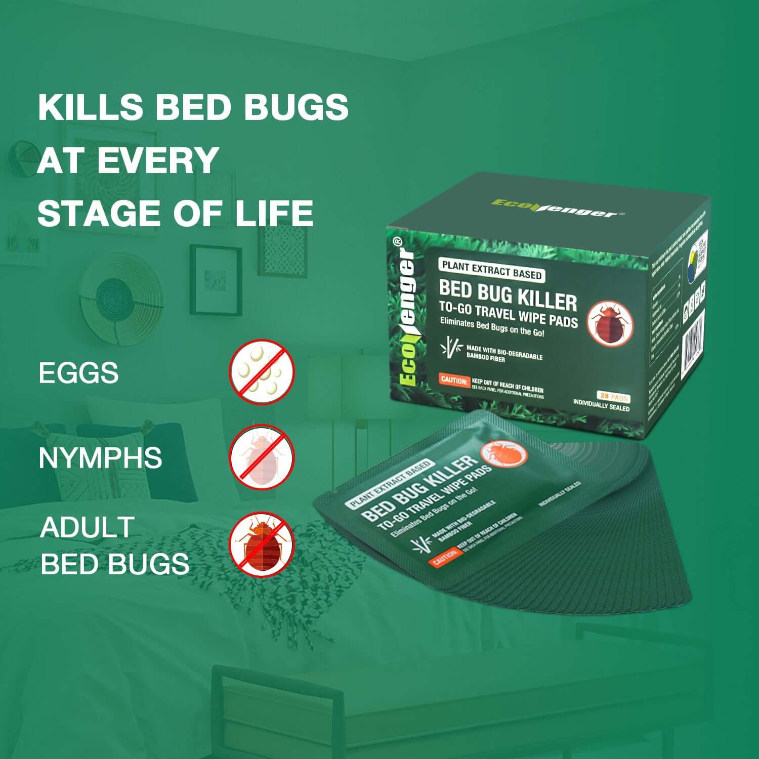 Bed Bug Killer