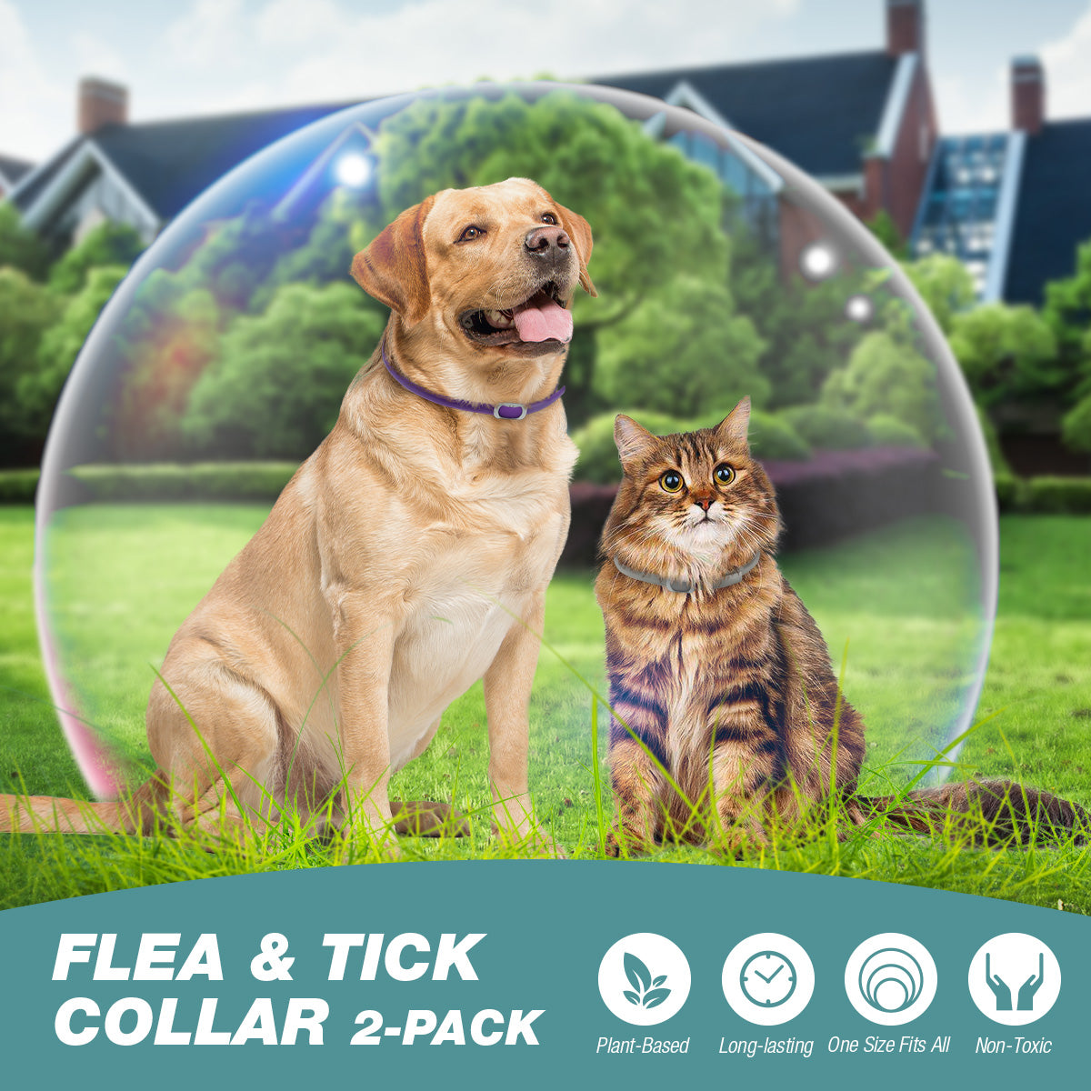 ZingZap Flea & Tick Collar 2-Pack Plant-Based for Dogs & Cats