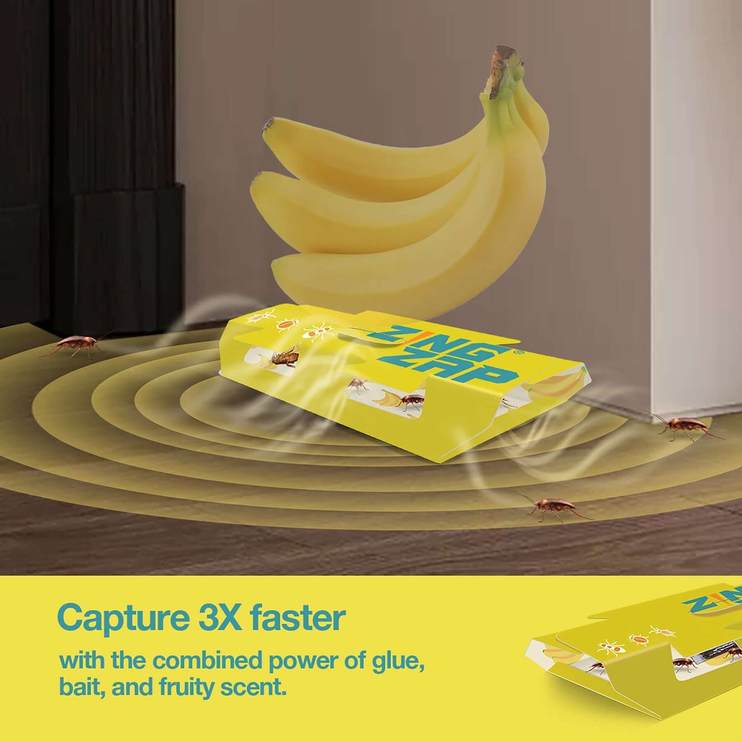 ZingZap glue trap with a banana scent