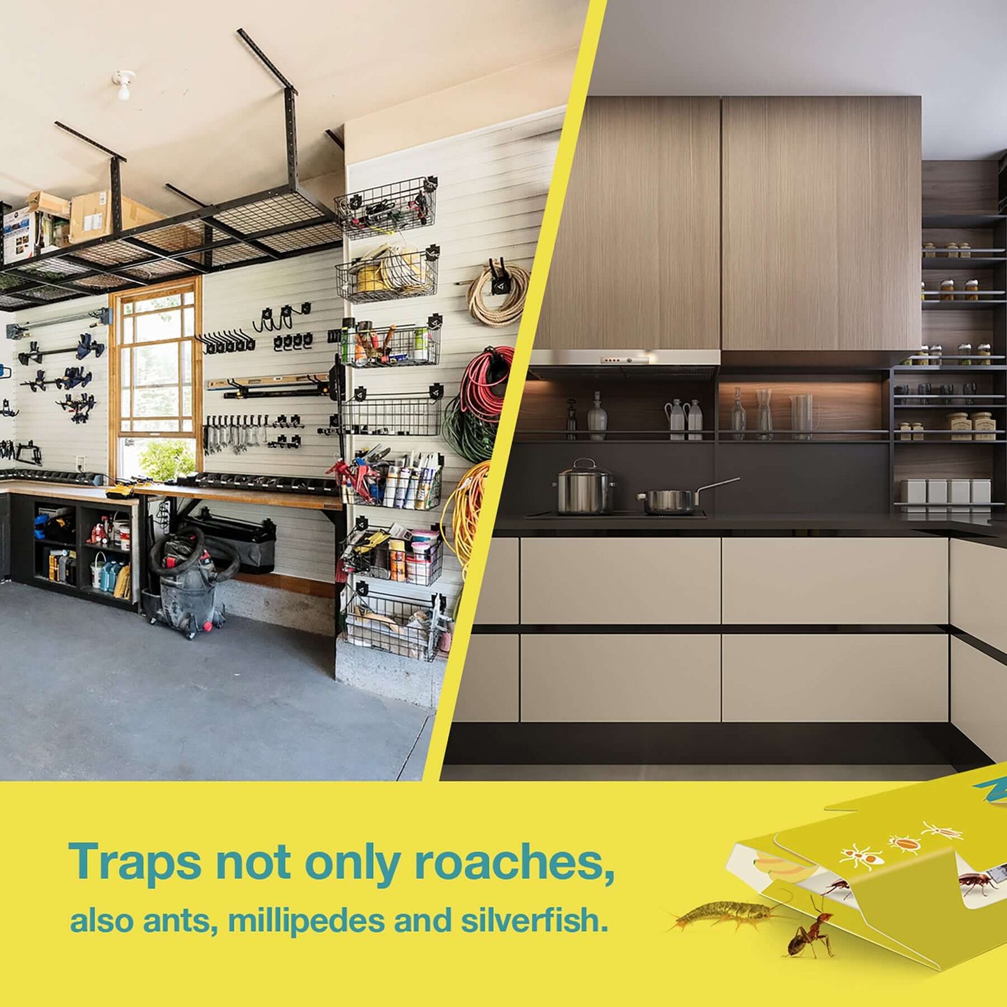 Glue trap