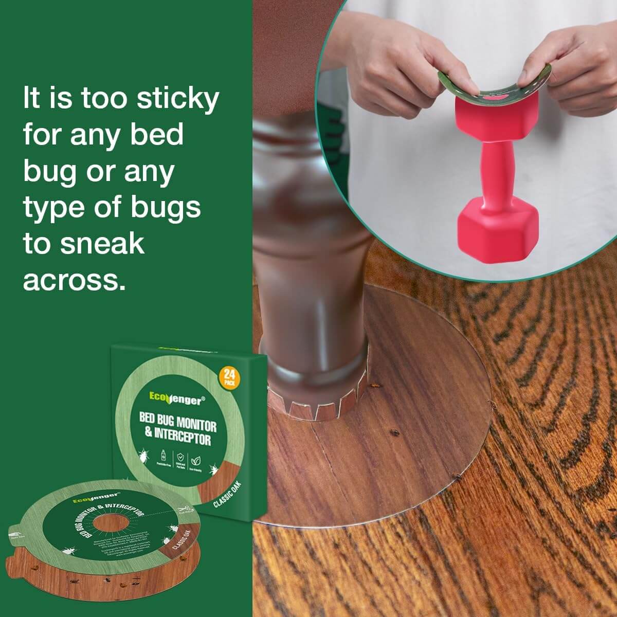 EcoVenger Bed Bug Killer 1 Gal & Monitors & Interceptors 24 Packs