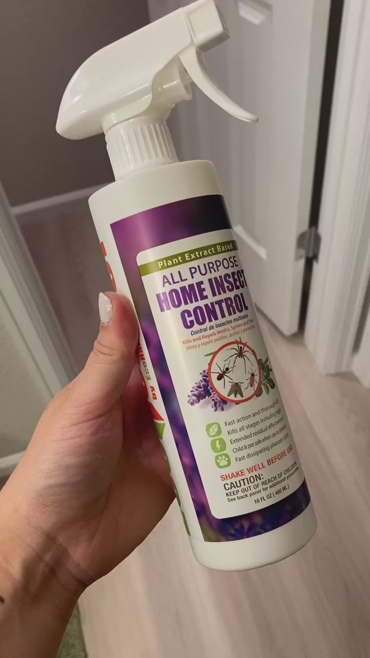 Home Insect Control