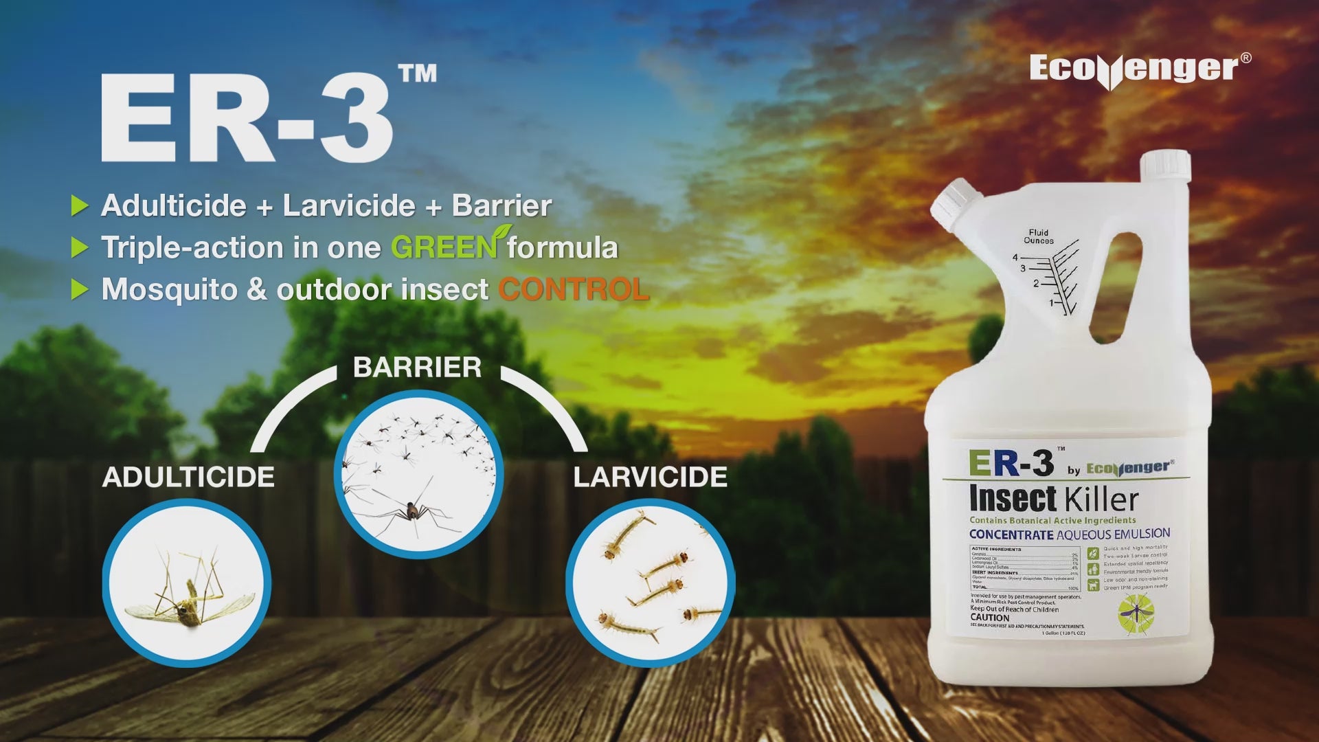 ER-3