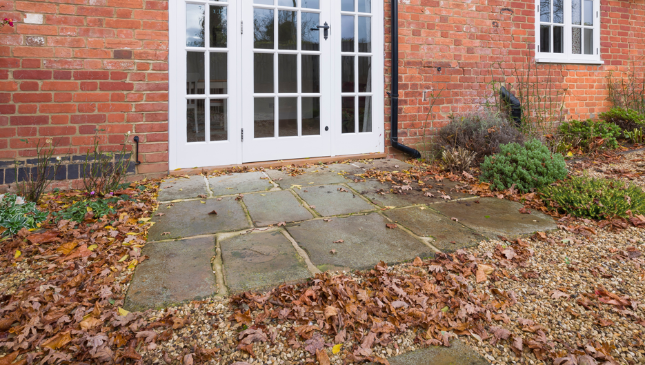 Occasional Fall Invaders: Identifying and Managing Pests – EcoVenger