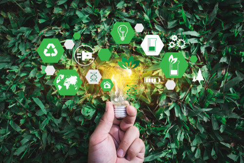 Being Green on a Budget