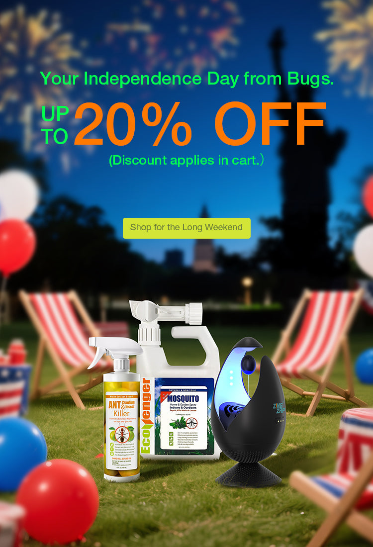 INDEPENDENT DAY PROMO
