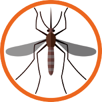 Mosquito Control Products by Ecovenger Natural & Effective