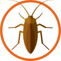 Roach Pest Control Products – Eco-Friendly by Ecovenger