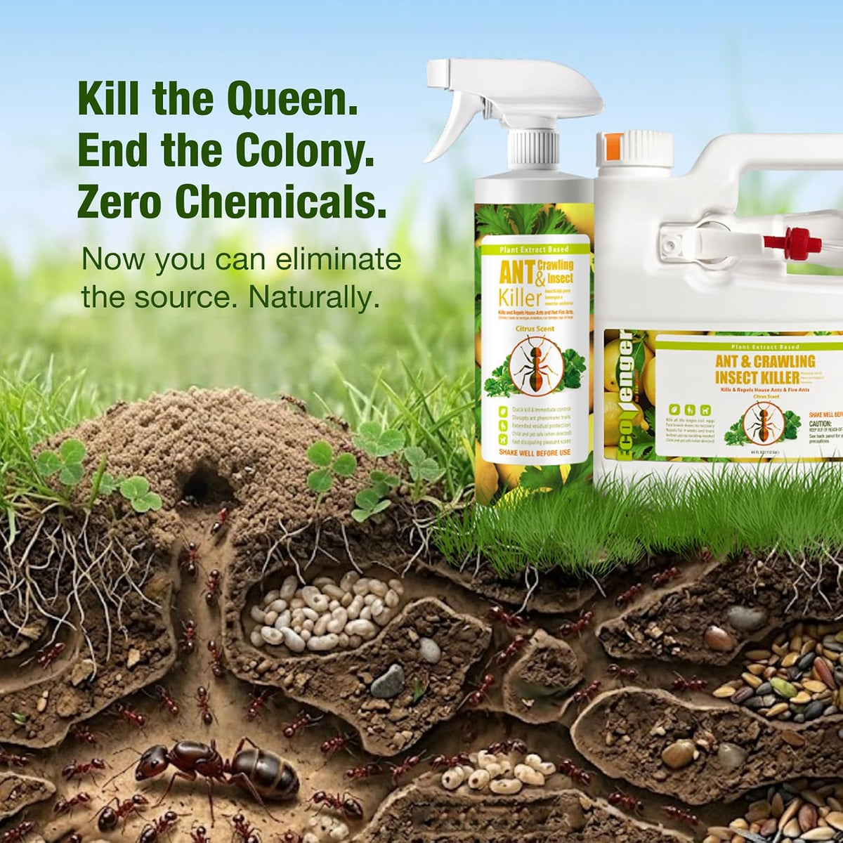 Ant Killer & Nest Treatment Remote Spray 64 oz