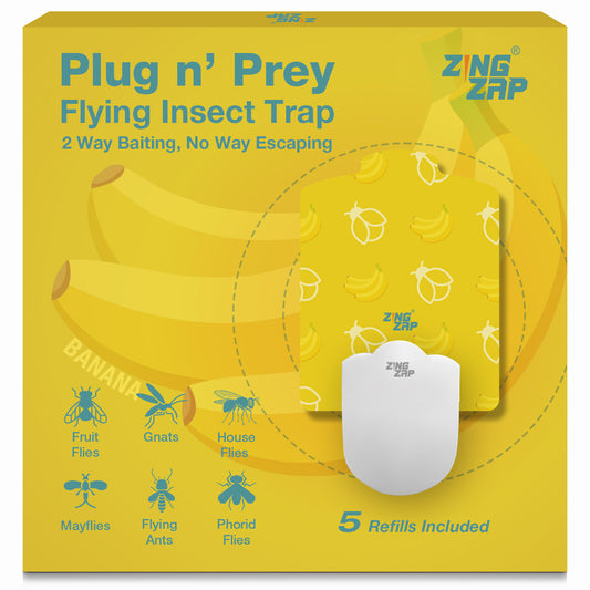 ZingZap Flying Insect Trap Plug-in Base & 5 Trap-Boards Fruity Scented