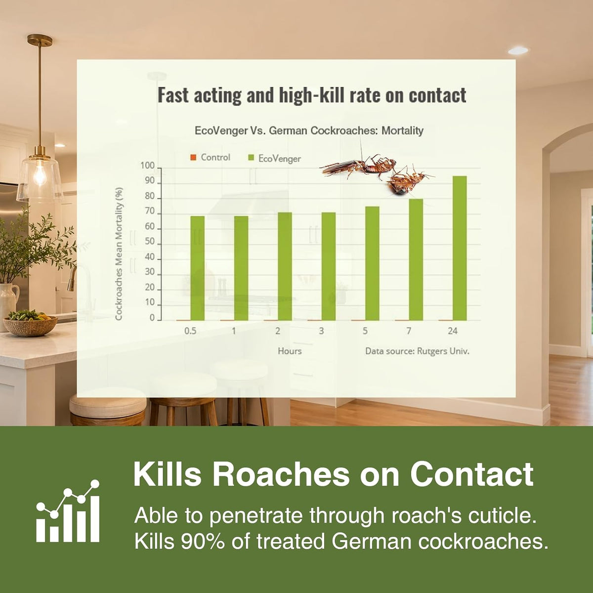 Roach Killer & Repellent Remote Spray 64 oz